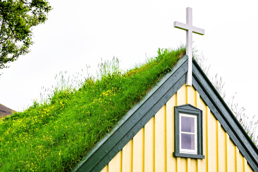 An image of wildflowers growing on a church roof.