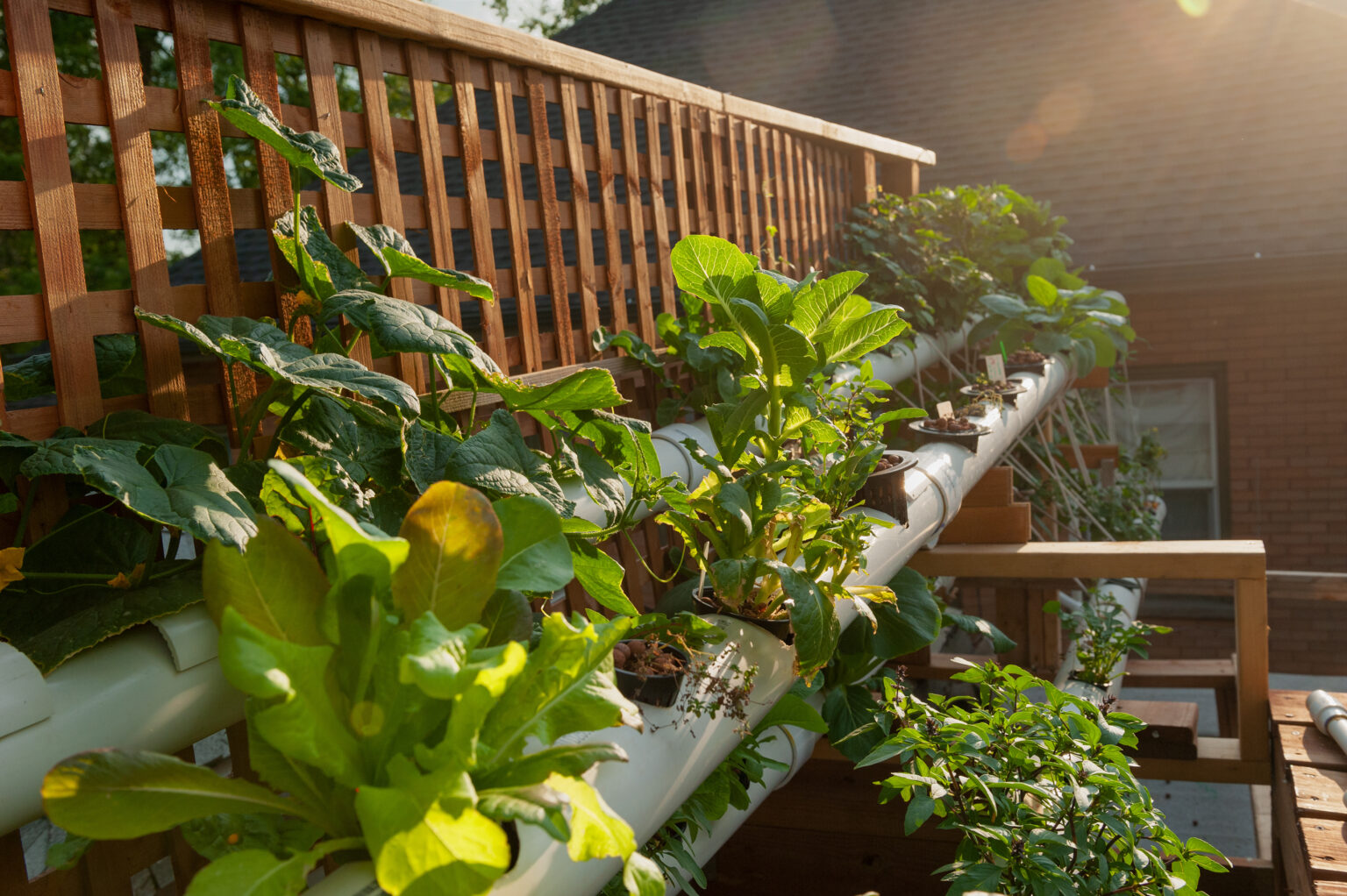 Curated visual reference: Picture Idea: Residential Green Wall Everything You Need To Know
