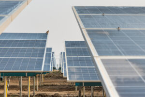 An image of a solar farm.