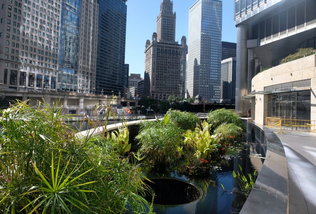 Image of downtown Chicago.