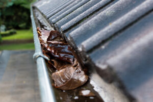 A gutter full of leaves.