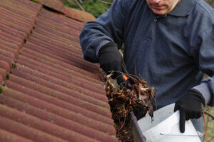 A man cleaning a gutter full of leaves.