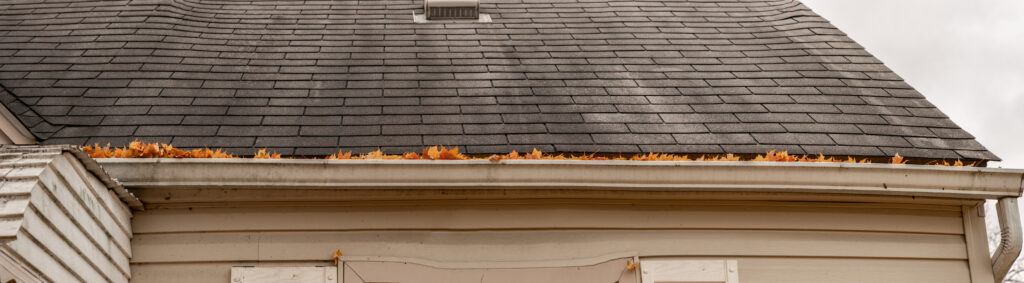 A gutter full of leaves