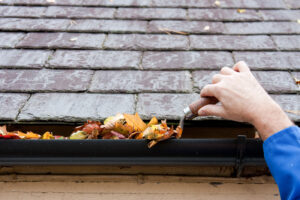 Cleaning a gutter from leaves.