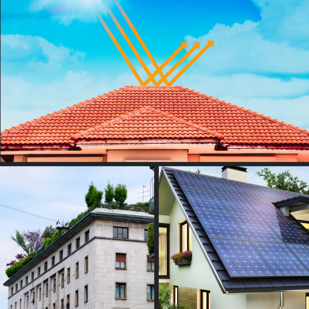 Cool roof, green roof, and solar side by side